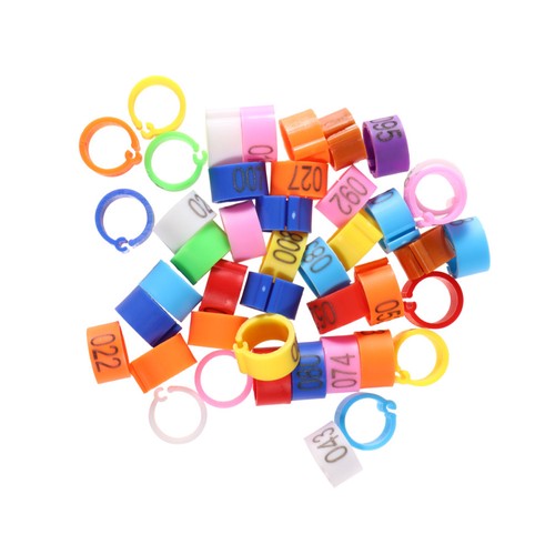 100 pcs bird leg - pcs,