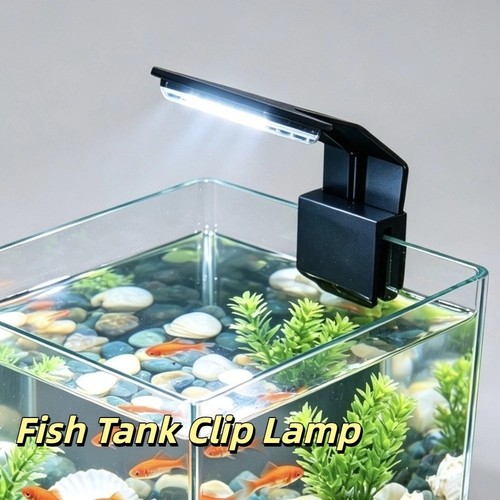 Small fish tank - tank, aquarium