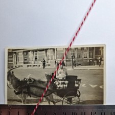Vintage Photograph  Goat Cart