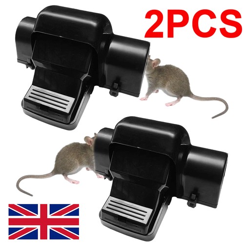 Rat traps that - 2x, kill