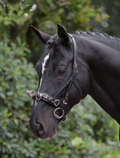 Covalliero Leather Lunge