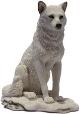 White Wolf Sitting In Snow