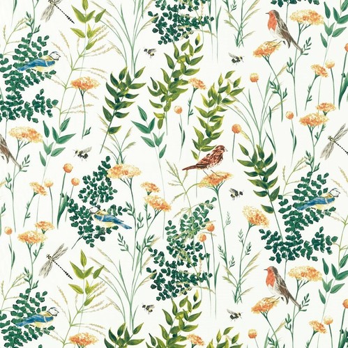 Clarke gardenia - clarke, &