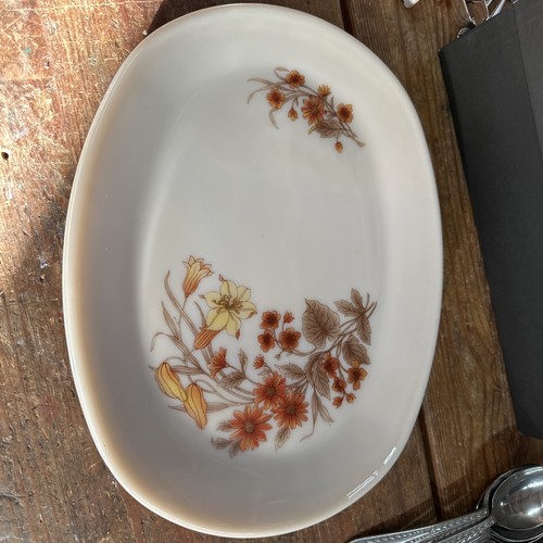 Vintage pyrex harvest spray - harvest,