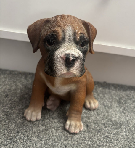 Realistic boxer puppy - boxer,