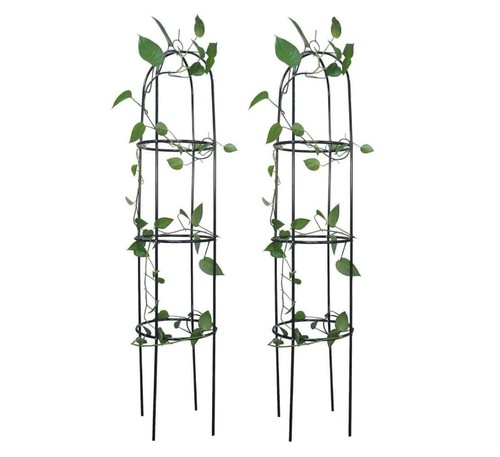 Garden arch obelisks pack - garden, 2