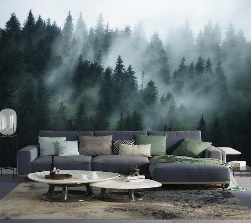 Misty forest fog - misty, in