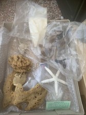 Collection Of Old Sea Coral Sponges Fossils Starfish