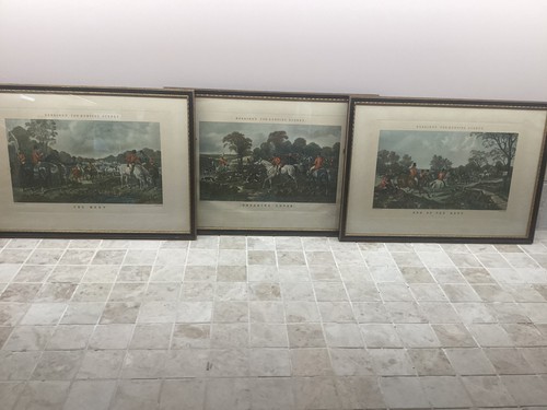 Three herrings snr - three, hunting