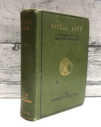Shell life introduction - an,