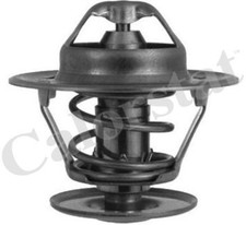 New Thermostat, coolant for