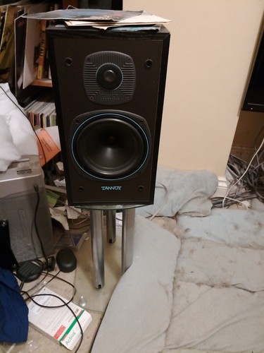 Tannoy e11 speakers - e11,