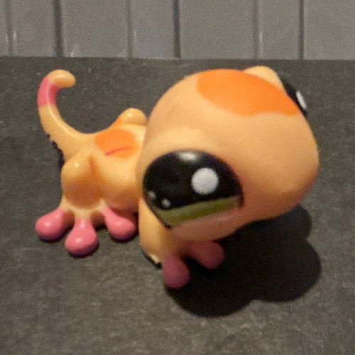Littlest pet shop orange - littlest, &