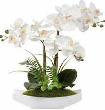 White Orchid Artificial