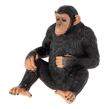 MOJO Chimpanzee Wildlife