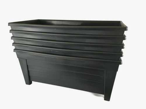 Extra large 55cm long - 5x,
