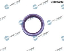 DRM02213 DR.MOTOR AUTOMOTIVE