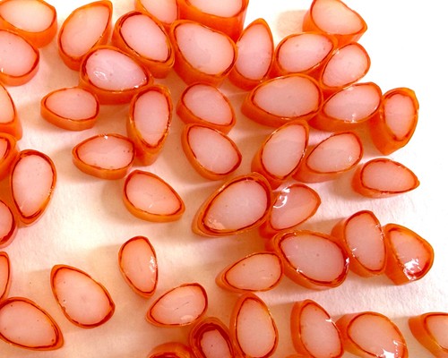 50g white orange petal - 50g,