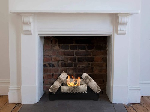 Wood burning bio fireplaces - bio,