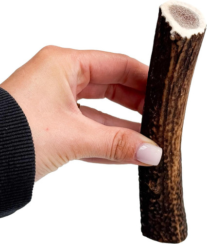 Antler dog chews - dog, medium