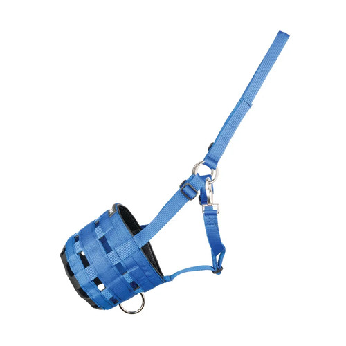 Grazing muzzle from - from, hy