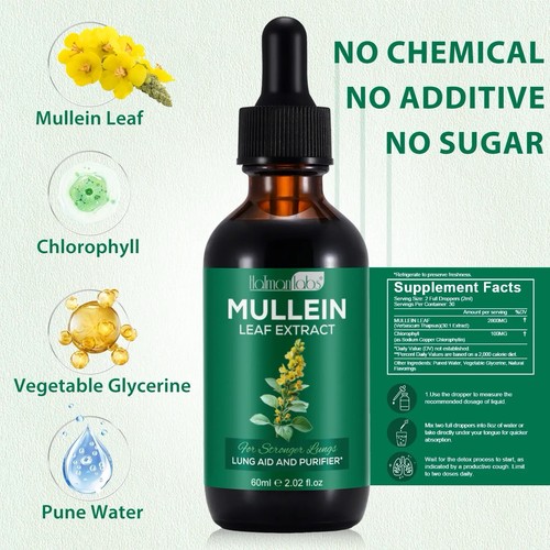 Mullein leaf extract drops - mullein,