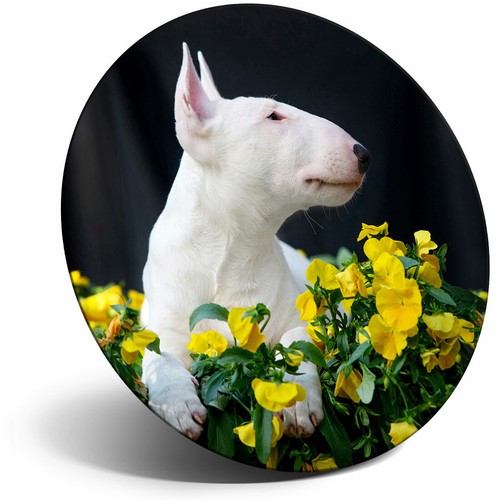 Awesome fridge magnet - magnet,