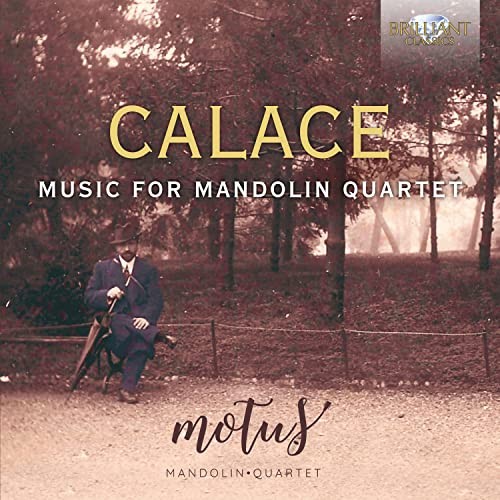 Motus mandolin quartet - mandolin,