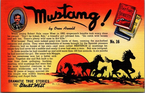 Mustang oren arnold - mustang!,