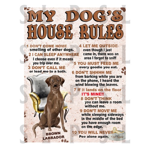 Dog house rules brown - my, dog's