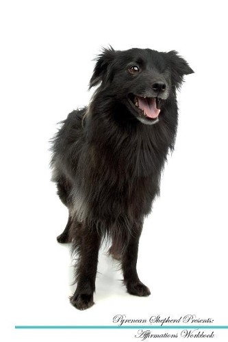 Pyrenean shepherd affirmations - pyrenean,