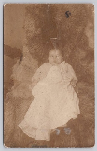 Rppc todder weeks bear skin - rppc,