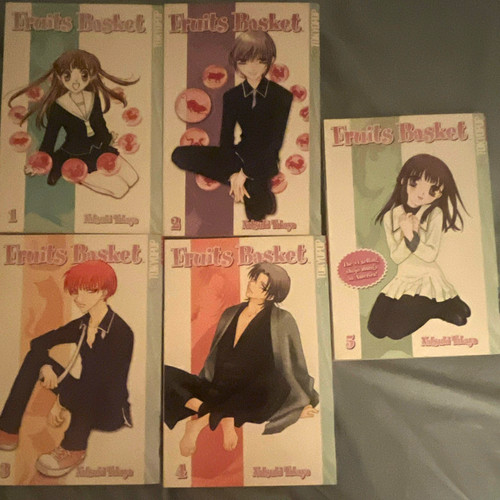 Fruits basket manga vol 10 - basket,