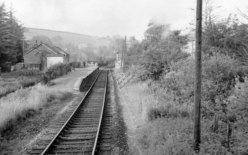 Staverton bridge train - bridge, station