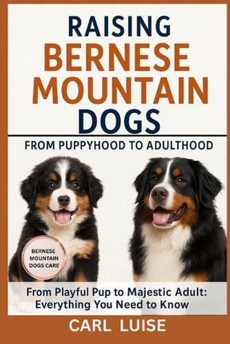 Raising bernese mountain dogs - raising,
