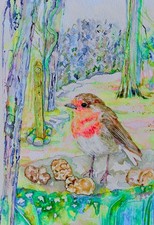 Watercolour robin painting