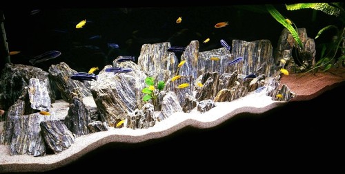 Aquarium stone natural fish - natural,