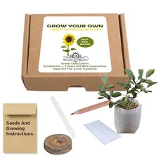 Grow Your Own Giant Sunflower