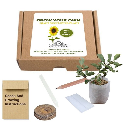 Grow your own - grow,