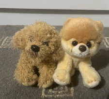 2x Suki Labradoodle Pomeranian