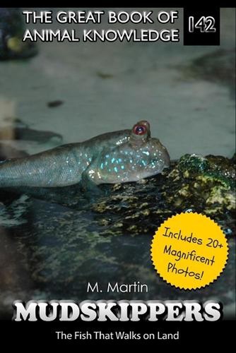 Mudskippers the fish that - mudskippers:,