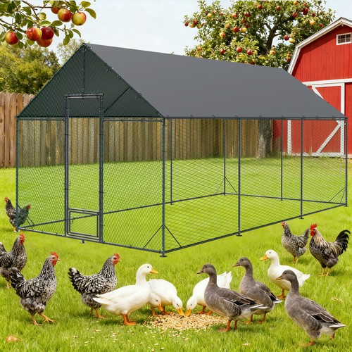 Large metal chicken coop - large,