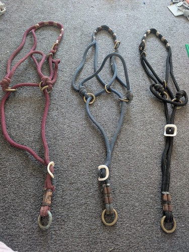 Monty roberts nice - roberts,