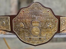 wcw big gold heavyweight