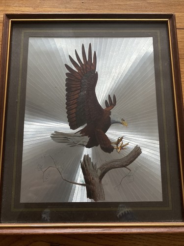 American bald eagle - american,