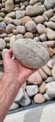 Coastal scottish cobbles - coastal,