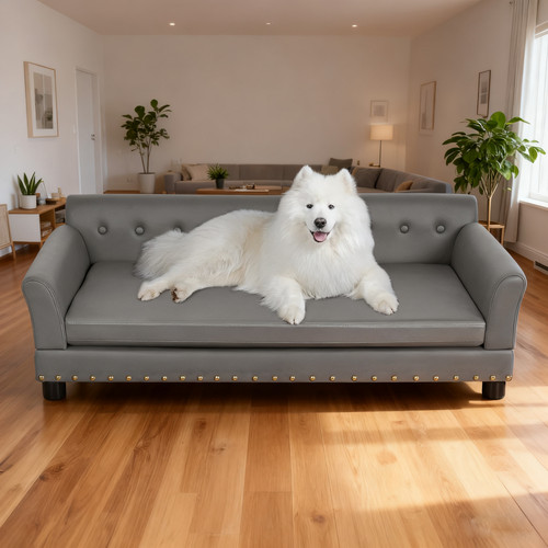 Luxury dog couch - couch, premium
