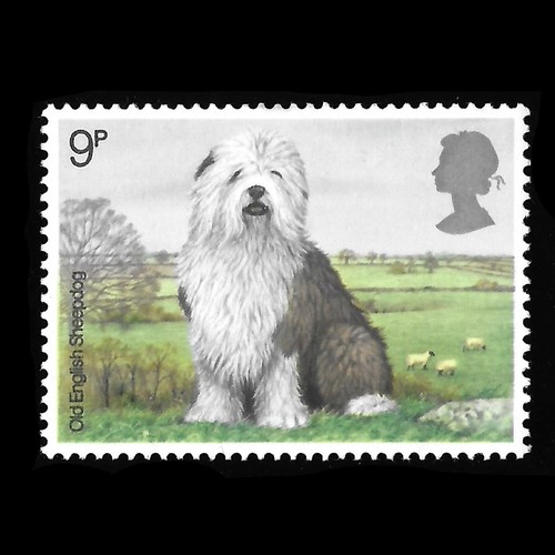 Animals dogs 1979 qeii - dogs, :
