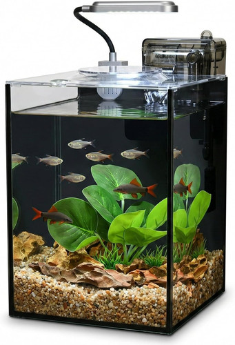 Gallon desktop aquarium - 2.2,