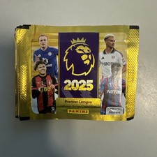  X50 PACKETS PANINI PREMIER